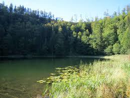 Filblingsee