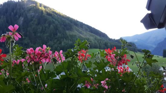 Kramkogel