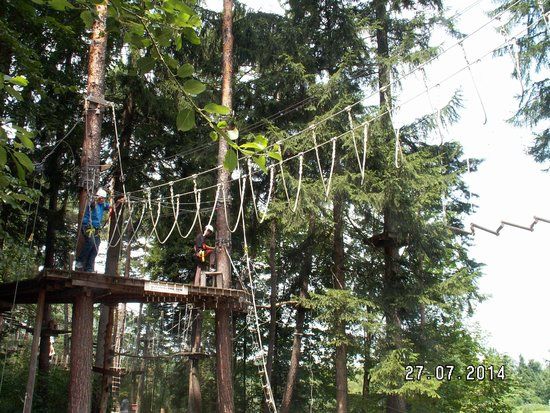 Park im Waldbad